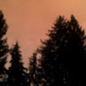 Meet your Posher, Isabella